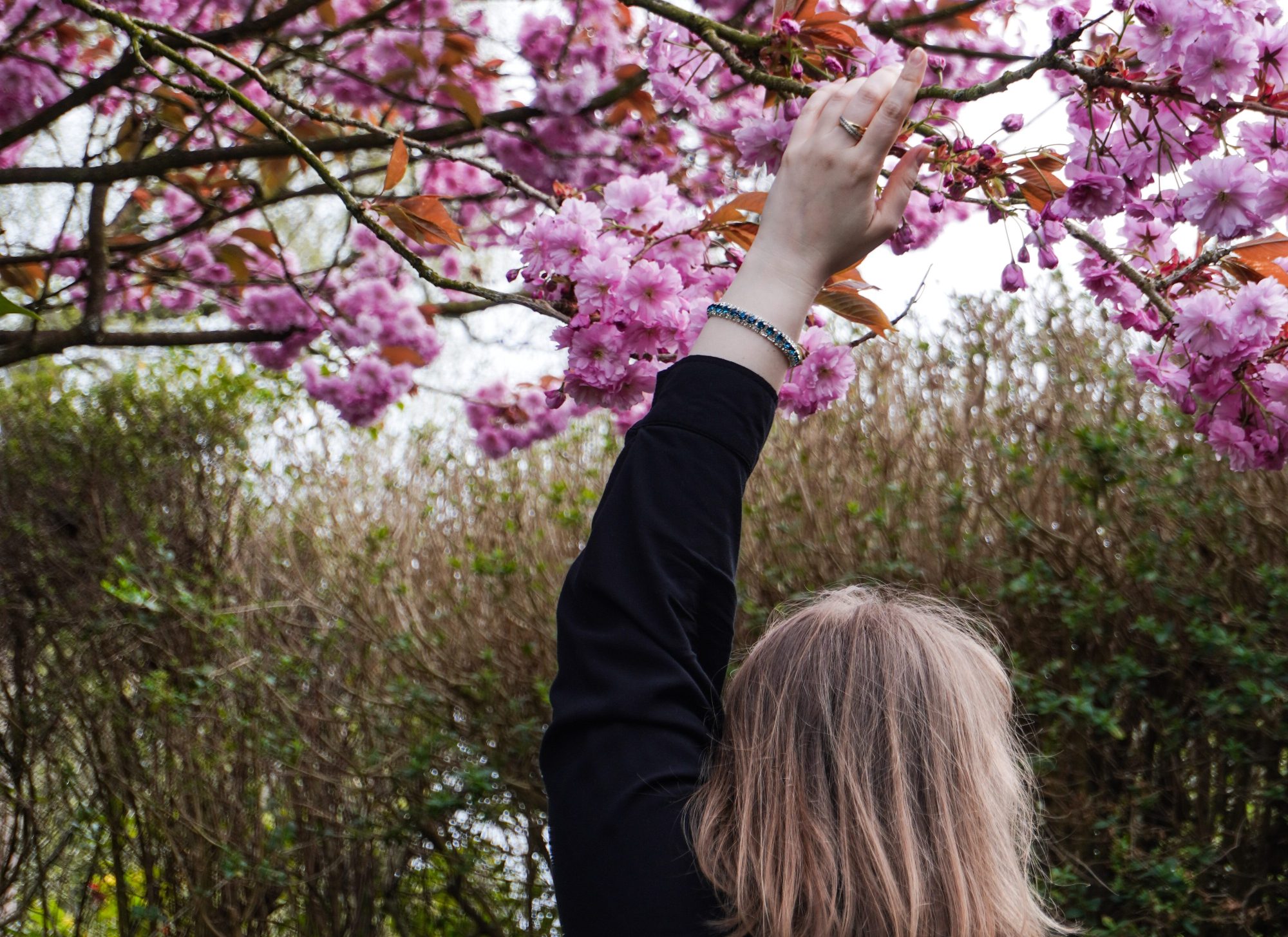 kuda-ya-ushla-iz-soc-setei